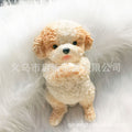 Poodle