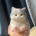 Medium Fat Cat Blue And White